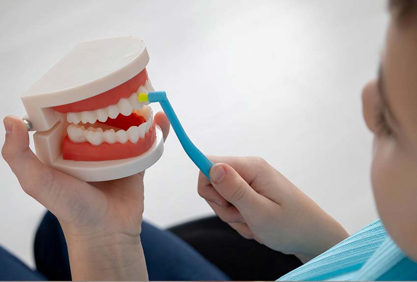 close up of a child in a school classroom brushing a set of plastic teeth